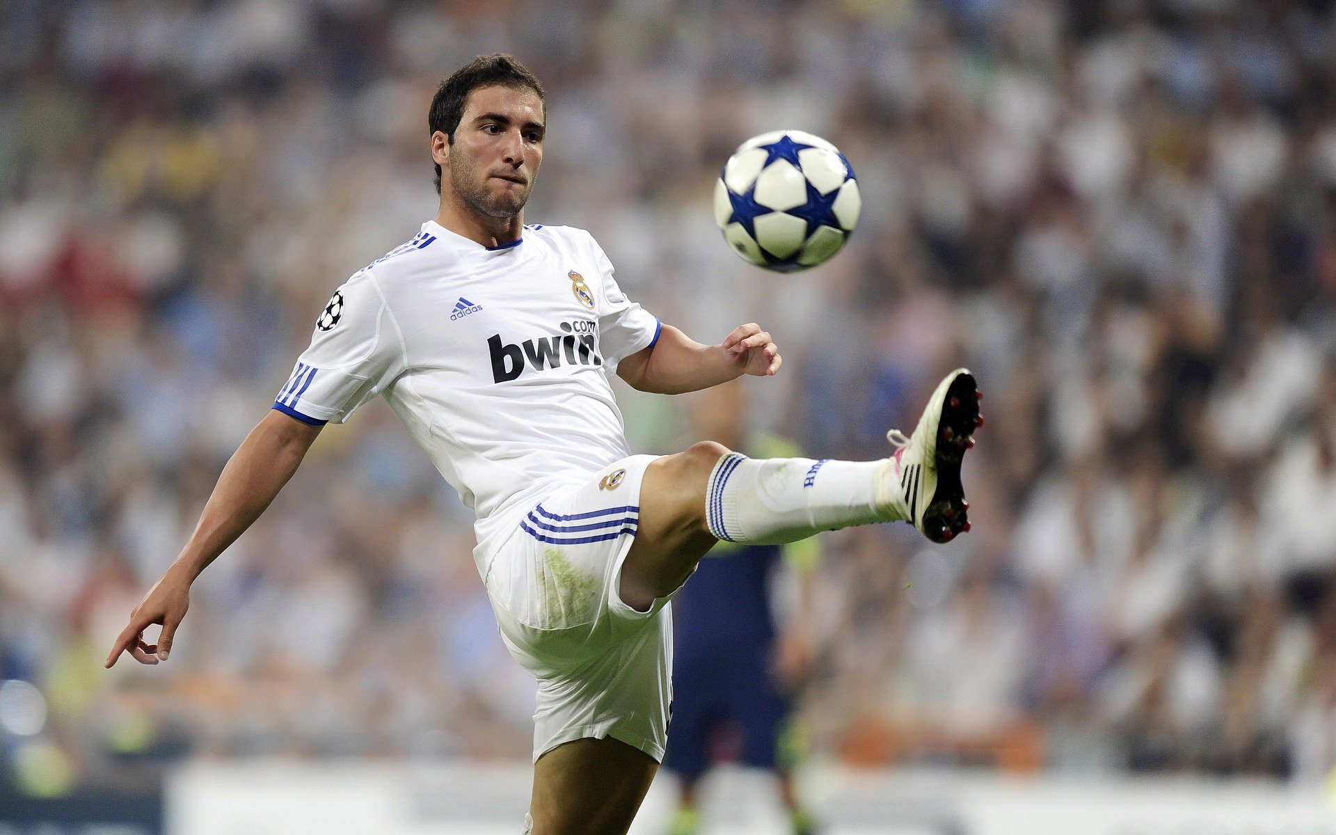 乔·莫伊:凭借极高的scrum控制力和防守反应,成为全黑队的坚强后盾