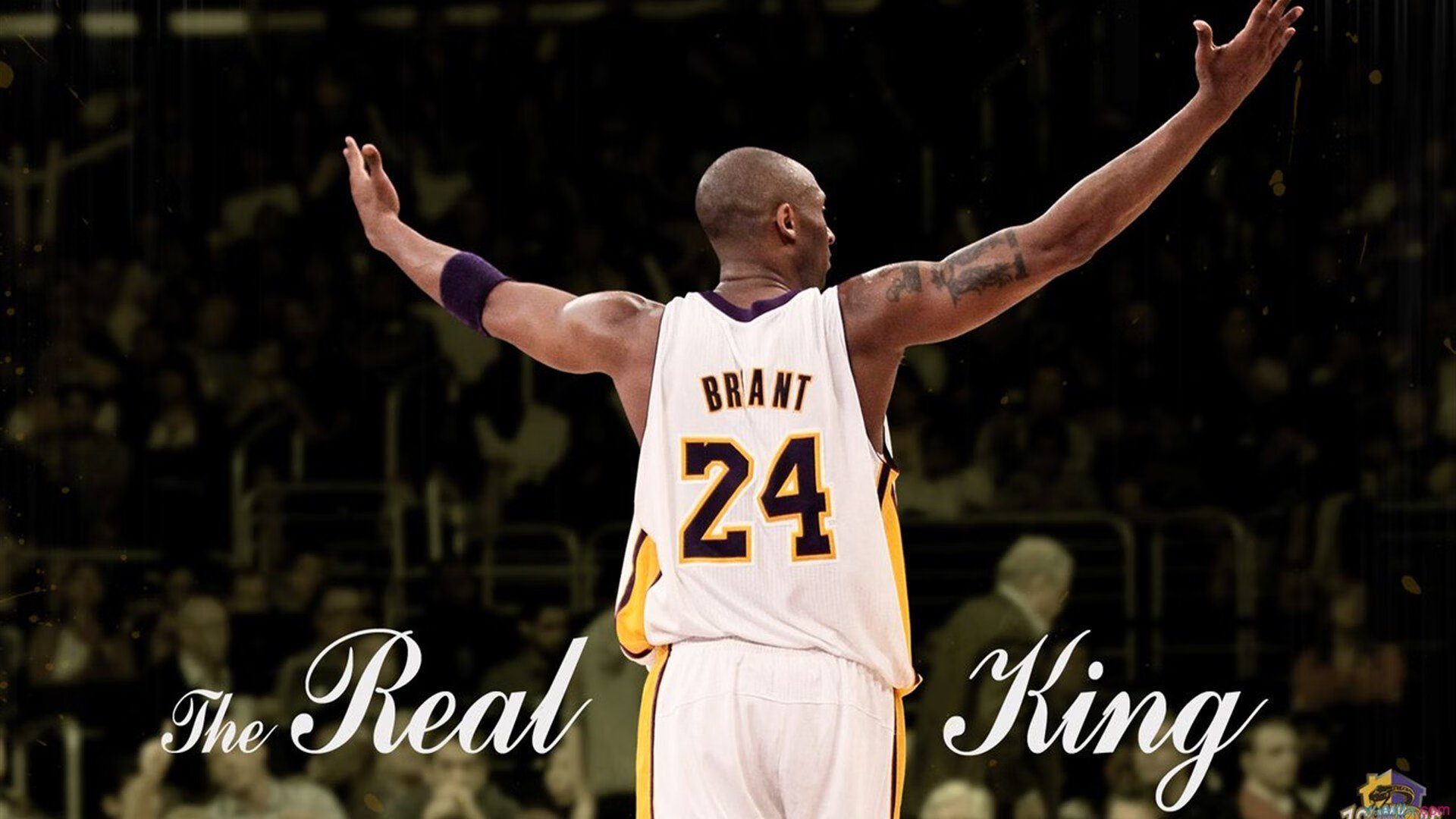 替补球员爆发如何激活球队整体竞争力，替补球员任何时候上场